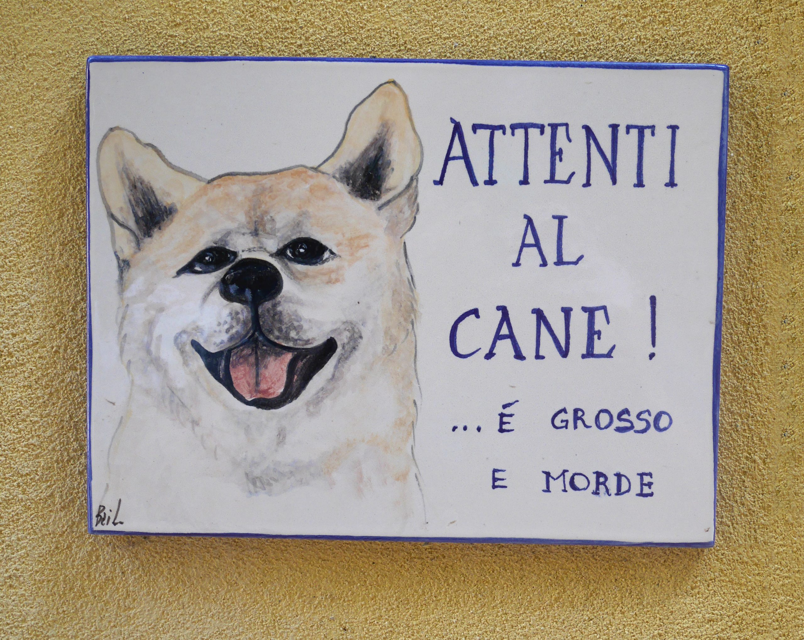 Read more about the article Attenti al cane